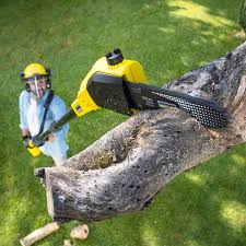 Best Landscape Design and Installation  in Woodburn, IN