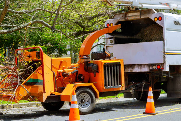 Best Storm Damage Tree Cleanup  in Woodburn, IN