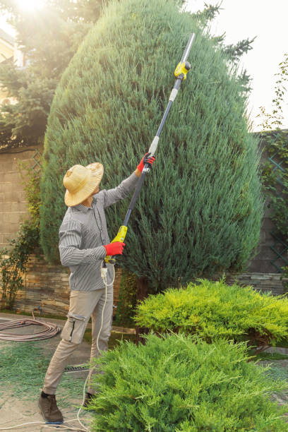 Best Artificial Turf Installation  in Woodburn, IN